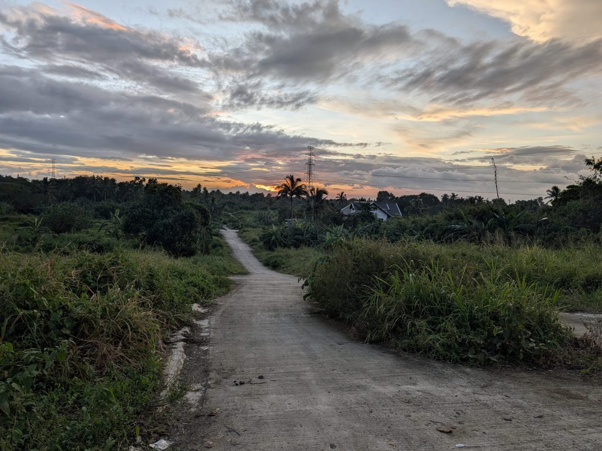 Panungyan ResiFarm Lot