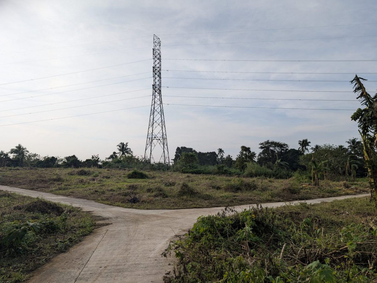 Panungyan ResiFarm Lot