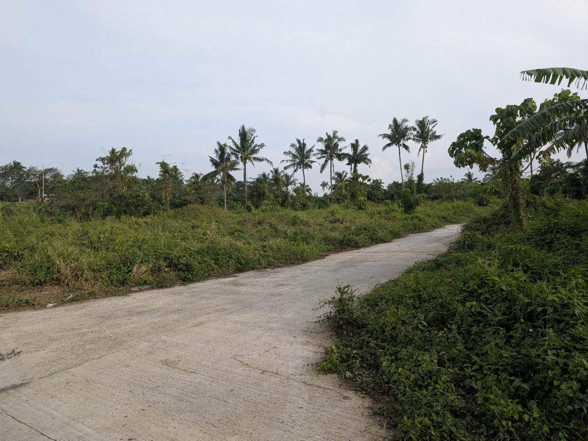 Panungyan ResiFarm Lot