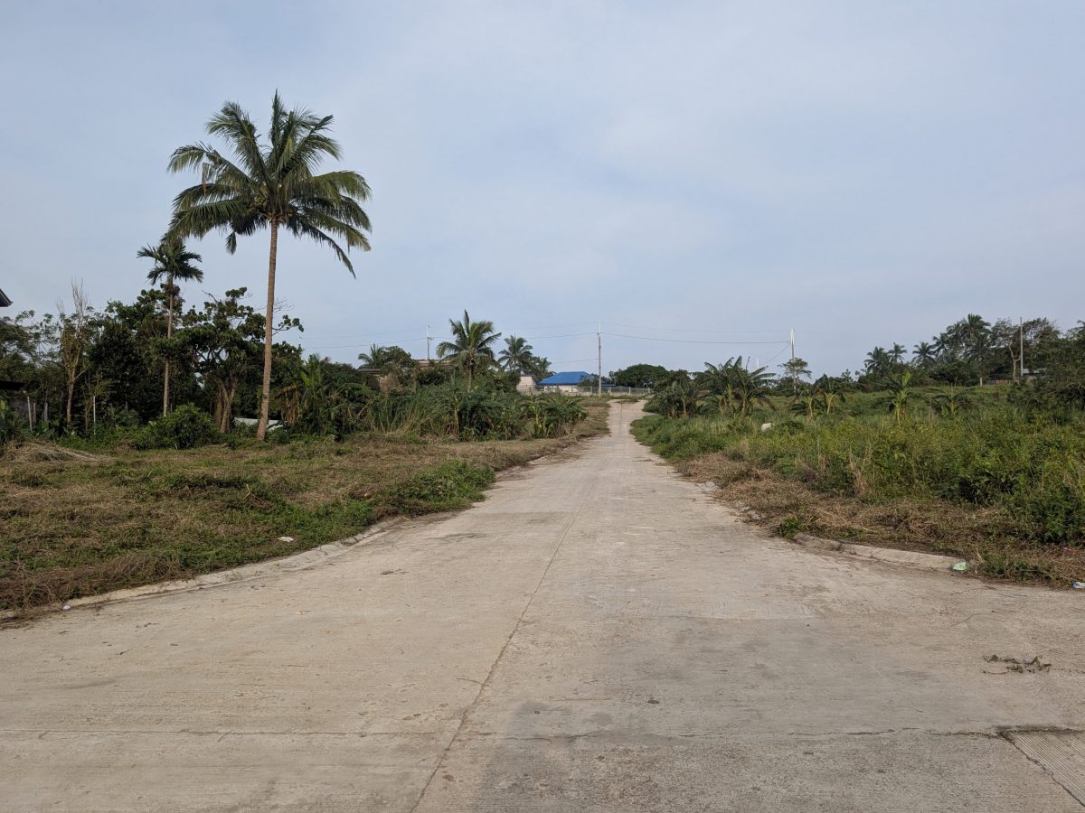 Panungyan ResiFarm Lot